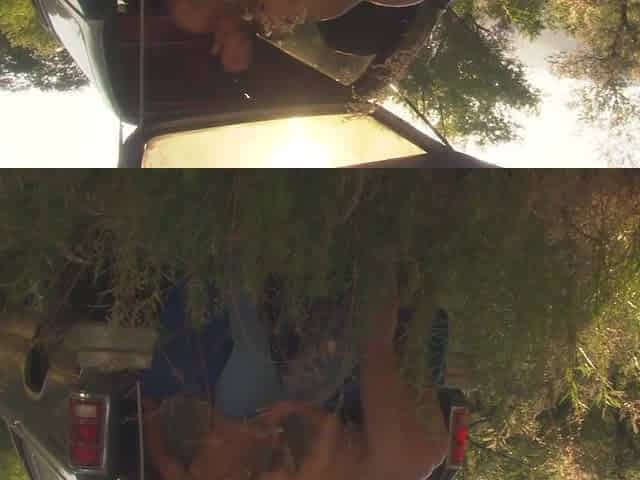 Golden-haired stepmom bangs next to the car during a summer picnic