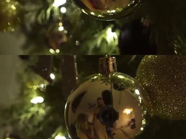 Cute Wife Snatch and Booty Glazed Underneath The Tree