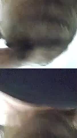 Real deception. Allies are banging my wife