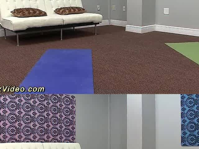 Cute Sophia Torres gets flexi drilled in eager Kamasutra sex poses