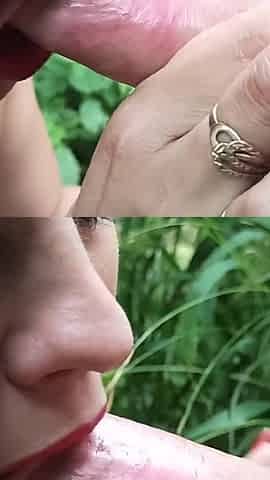 Outdoor Oral and Fuck