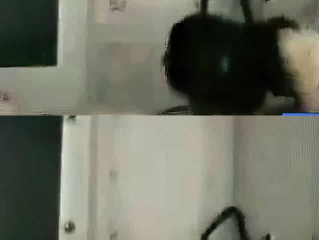 Cheating Asian MILF Caught on Tape with Lover