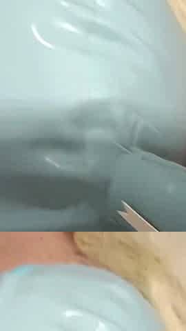 MILF with Blonde Pigtails and Perfect Tits Gives a POV Blowjob with Cumshot in Her Mouth