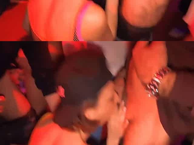 nos chiennes sucent des bites en club