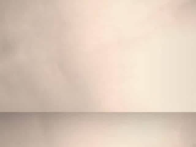 Punjabi Desi Indian Husband Wife