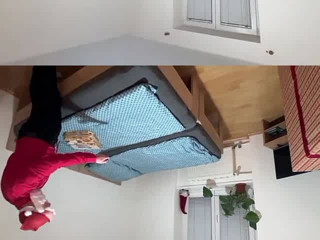 A Gift for Santa Claus
