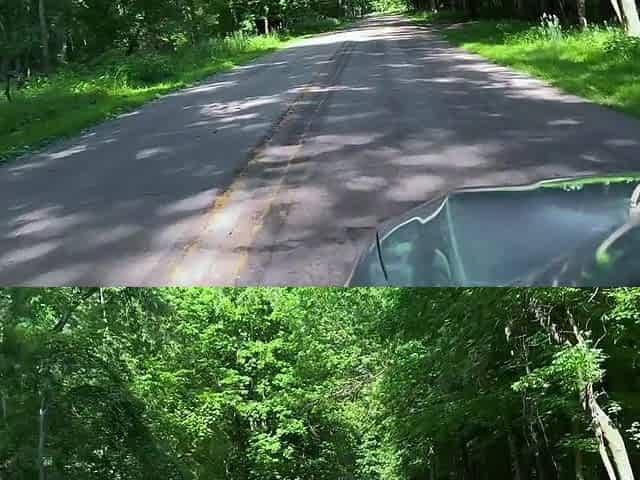 Gave Her a Creampie in Nature (nearly Caught)