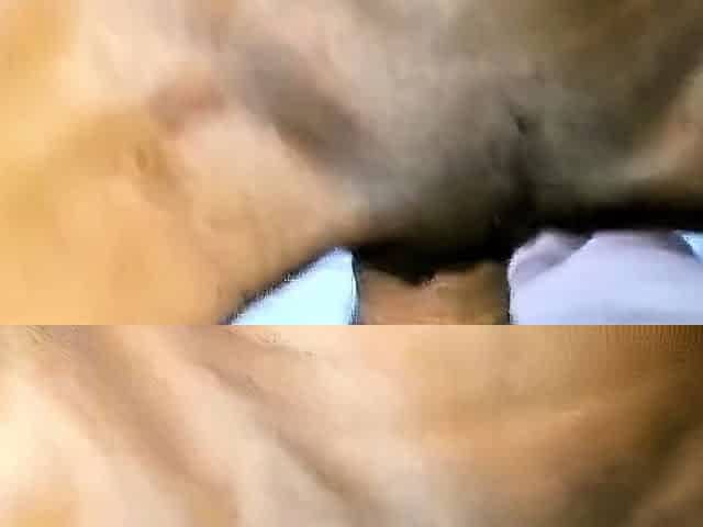 Interracial African Couple's Homemade Tape