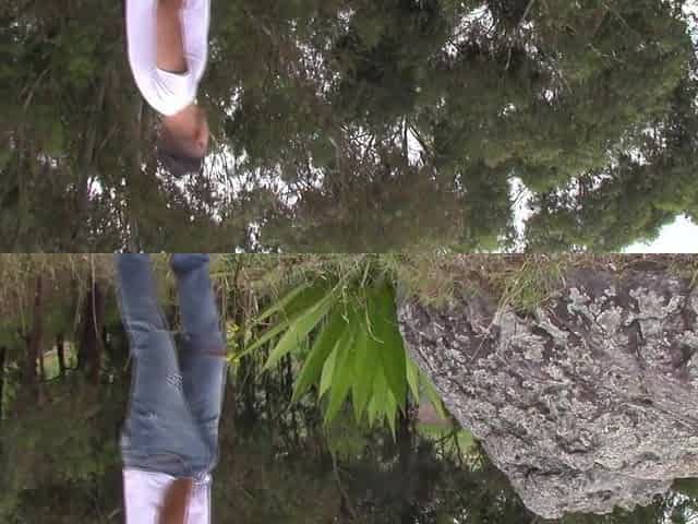 Dia Perfecto Para un Pajazo al Aire Libre con un Monton de CUM