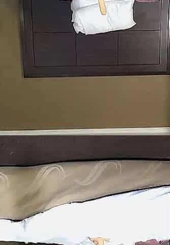 Sissy Sextoy Sucking and Banging