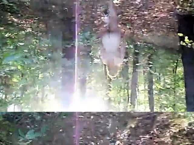 Redhead Amateur Shows Off Her Big Booty in the Forest