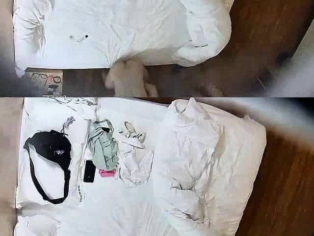 Amateur couple hidden cam