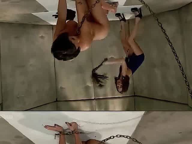 Shay Fox, Haley Wilde And Di Marco - Diminated Milf