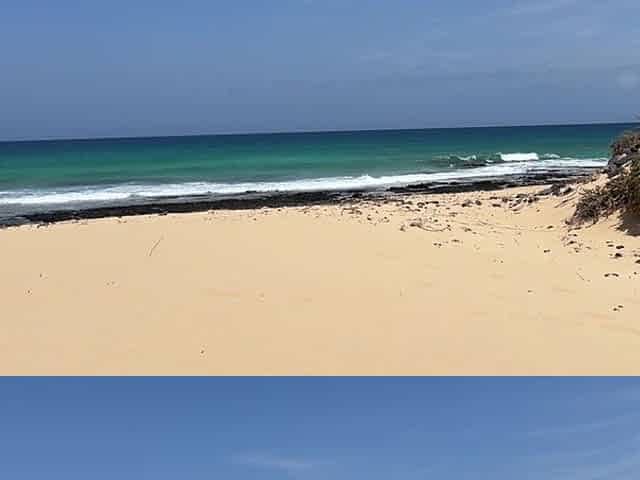 Curvy MILF Peeing on the Beach