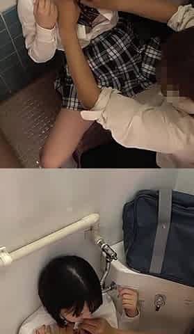 College Girl Toilet Sex 4-5
