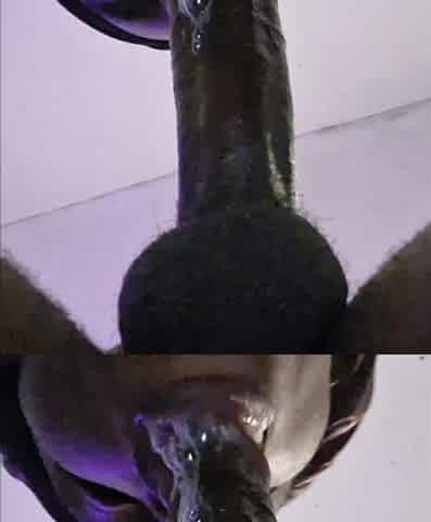Perfect Blowjob