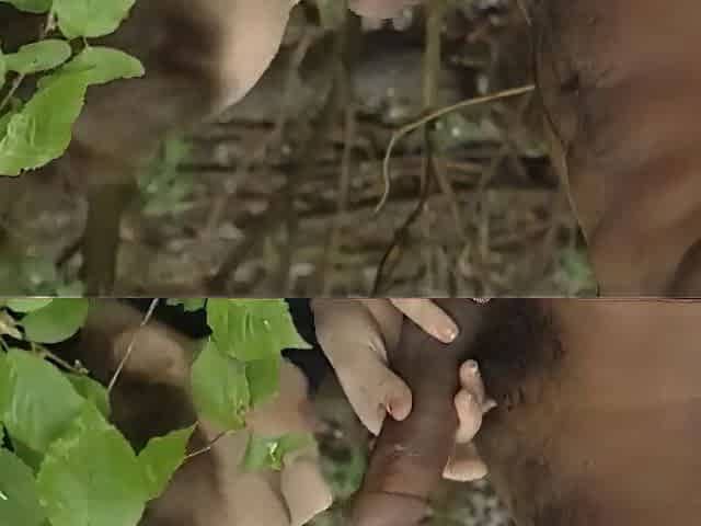Little Bang in the Woods... Girlfriend Has to See!