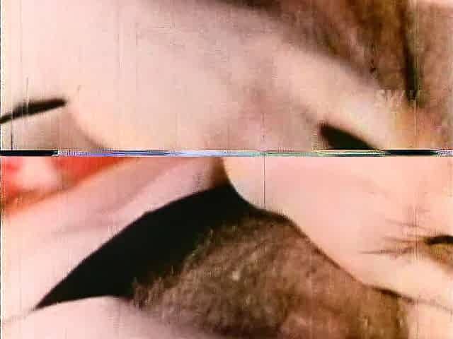 Two sexy brunette lesbians licking each others pussies