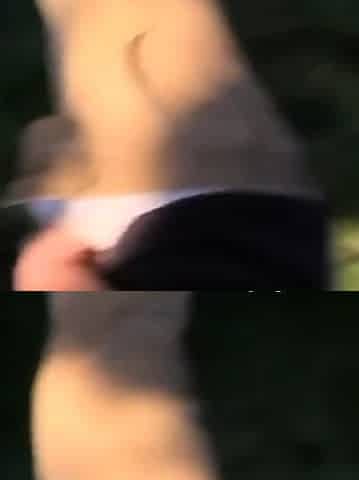 Svenska MILF:s Trekanten i skogen