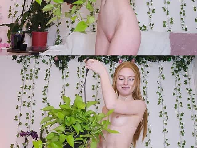 Nude Plants