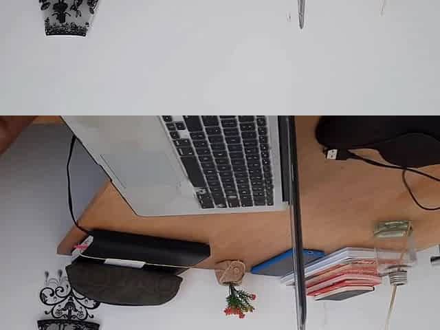 Older woman had anal sex with a computer technician