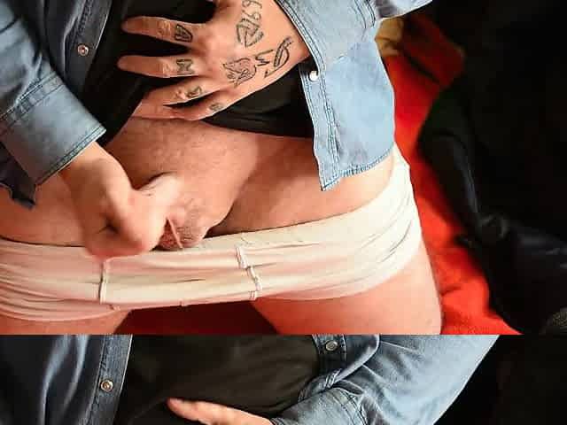 Fat Bear Dry Humping a Pillow and Wanking
