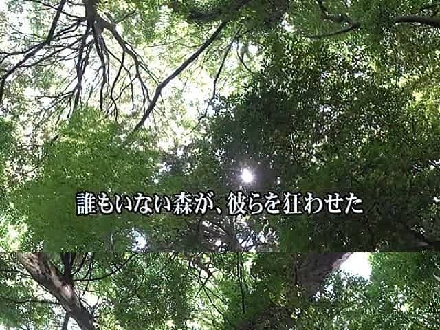 Lost Naked Girl in the Forest: Lustful Encounter x1x49E4590E30B7B3601D