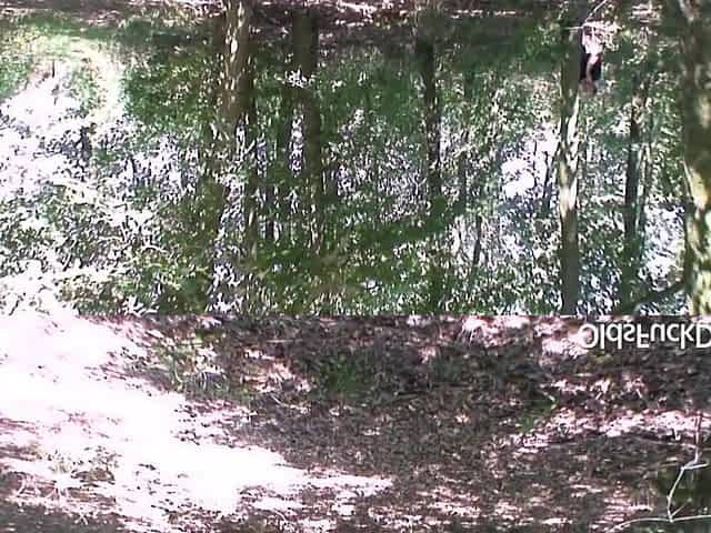 Pavel Terrier In Old Fuck Dolls - Horny Slut Misha Dull Fucked By Old Perverted Man Outdoors