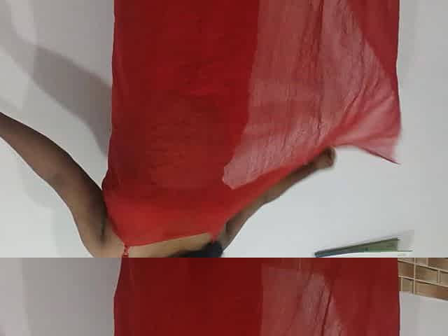 Desi Girl Sari Danci