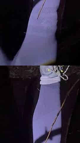 Pissing,dildo Fucking and Fisting in the Nightie Forest