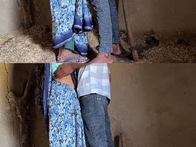 Desi Sex