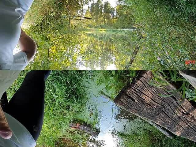 Munichgold's Outdoor Habdjob, Blowjob in the Forest... Have Fun