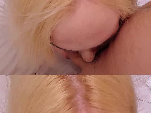 Shaved Cunt Golden-haired with Ideal Booty Vehement Sex Greta Foss