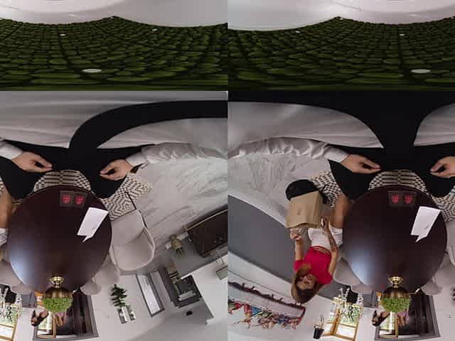 Virtual Real Porn House