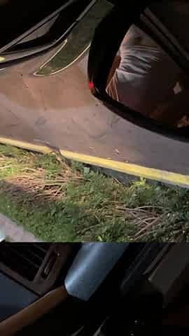 Sex on a Public Bridge and in the Drive Thru
