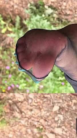Birkenstock & Nylons Outdoor