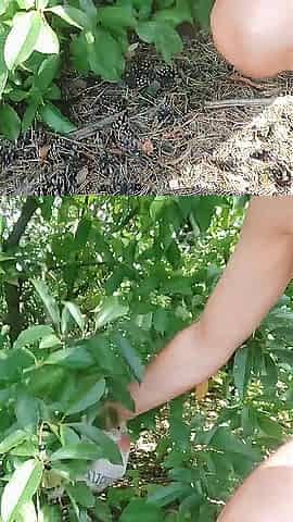 I take off my garments, leave 'em and walk in nature's garb along the road at the edge of the forest