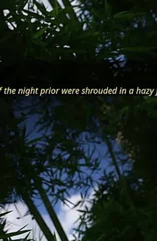 The Lust City 2 - Sophia Gets Massive Creampie in the Jungle