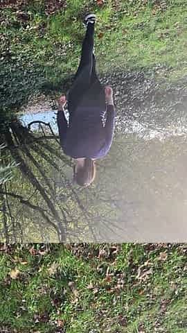 I nearly got caught drinking his urinate in public @for the end chase me on MYM