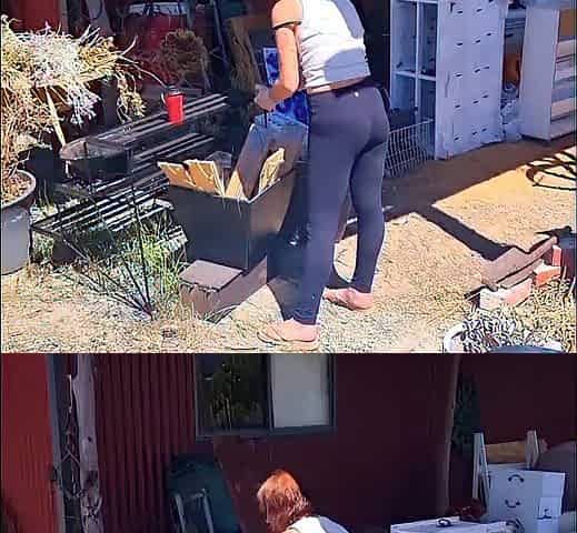 MAKE IT DIP, SHAKE THAT BUTT, TWERK FOR ME, DROP THAT LARGE BUTT