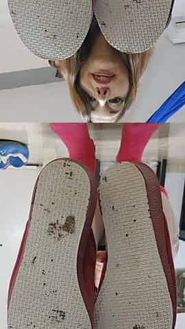 Slippers Modeling and Masturbating, Spanish Slippers