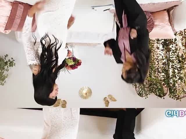 Brides to be lick vagina and rim butt ifo their weddingplanner