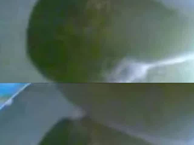 Black Dick Lovers - Amateur Big Cock Compilation