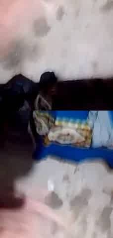 Solo en casa pajaso