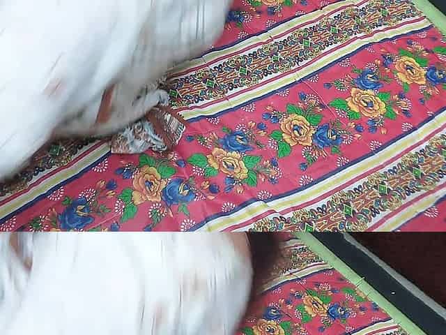 The Pussy Was Very Tight, Indian Desi Aunty Ass Filled with Water, Desi Sex