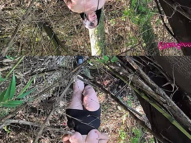 Alone in Nature, for My Fans
