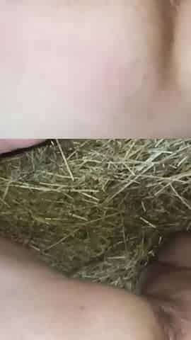 Hay Fuck with Oral Sex
