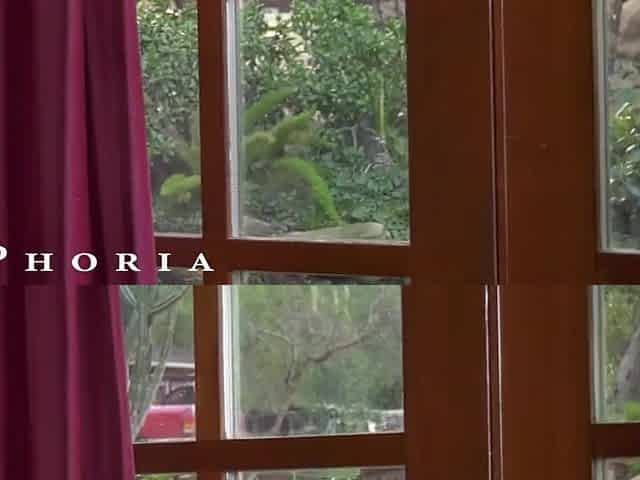 BiPhoria - Fortunate Delivery Man Tempted By Slutty Married Pair
