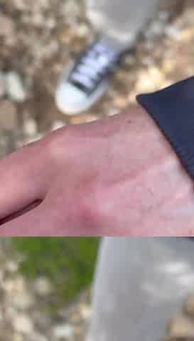 Blowjob on the Mountain- Cum in Mouth