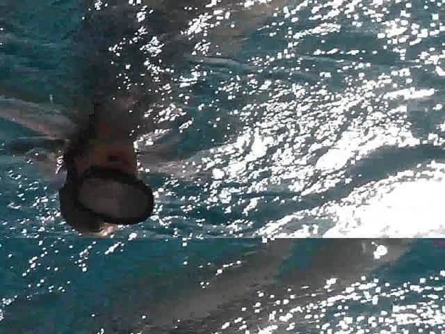 Deep Sea Fucking